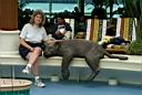 \alaska\P0001058.jpg: Denise at the Solarium Pool with her cat